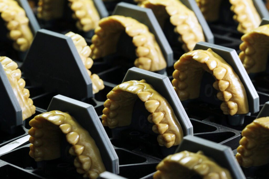 Archiv verschiedener Zahnformen mit deren individuellen Strukturen